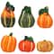 Fall Harvest Ceramic Pumpkins Decoration Set